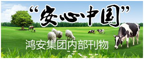 鴻安電子雜志