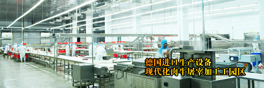德國進(jìn)口生產(chǎn)設(shè)備