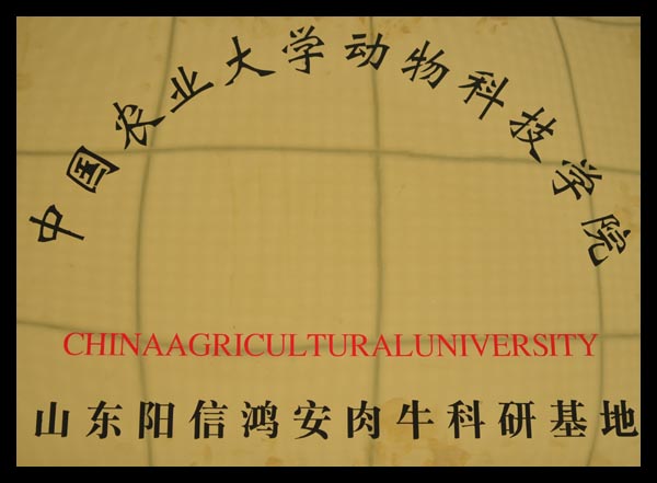 中國(guó)農(nóng)大肉?？蒲谢? width=