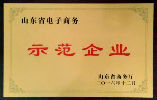山東省電子商務(wù)示范企業(yè)